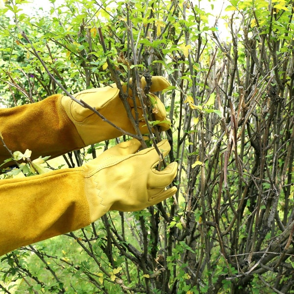 Lange Ku-Skinnhansker for Hagearbeid, Slitasje- og Kuttresistente, for Birkjøring, Sveising, Argonbue, Anti-Stikk, Størrelse L