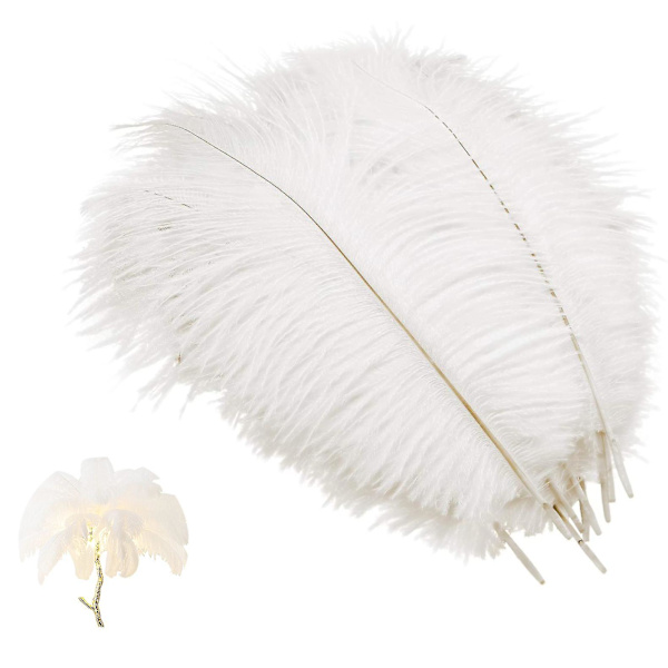 10 stk Naturlige Strudsefjer, Strudsefjer Kompatibel Med Bryllup Fest Festival Bord Midtpunkt Dekoration (hvid, 25-30cm)