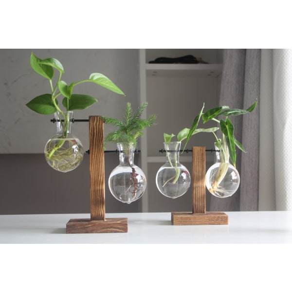 Kreativ träram hydroponisk vas grön dillväxt genomskinligt glas växt blomsterarrangemang behållare skrivbordsdekorationer för heminredning