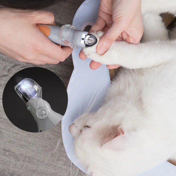 LED-valaisin lemmikkieläinten kynsileikkuri – loistava kissojen ja koirien kynsien ja kynsien leikkaamiseen, 5-kertainen suurennus, joka toimii myös kynsienpyytäjänä, pikakiinnike, terästerät