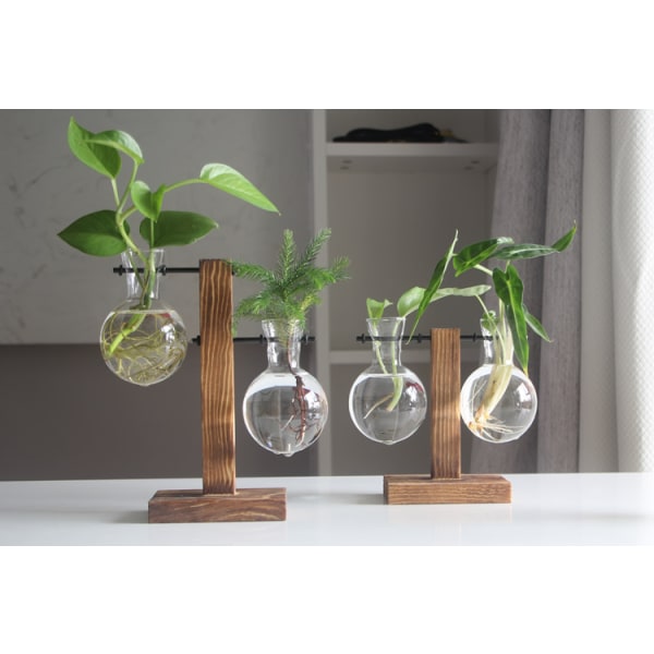 Kreativ träram hydroponisk vas grön dillplanta transparent glas växt blomsterarrangemang behållare skrivbordsdekorationer för heminredning