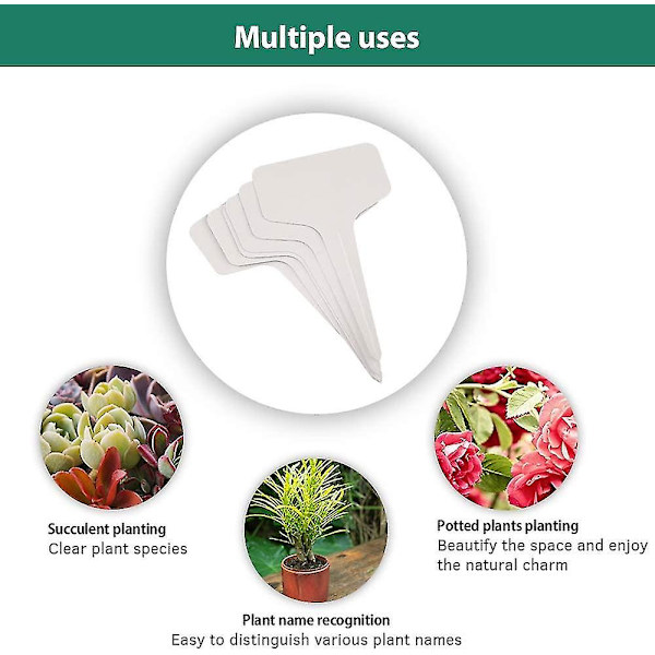 100 stk. Mini T-formede Plastik Plantepinde Stick-in Etiketter Mærkning Plantning Markører Skilte 6cm * 10cm Praktisk Til Alle Gartner