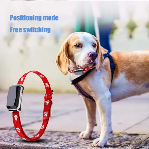 Smart GPS-spårare för hund och katt, USB-laddning, stöd för Android och iOS