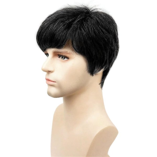 Handsome Mens Full Hair Short Wigs Men Black Straight Layered Cosplay Wig