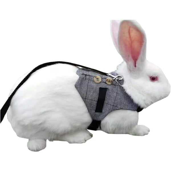 Kaninvest-sele- og snoresæt Justerbart formelt jakkesæt til kaninkilling, gåture med små dyr (S)