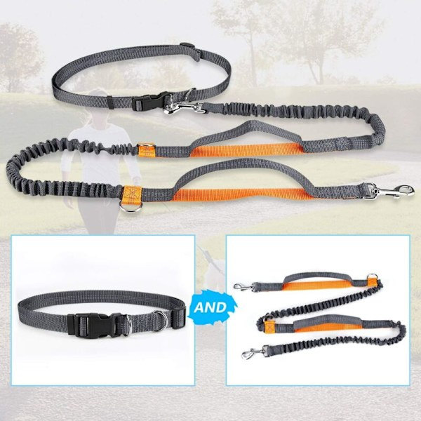 RY-Håndfrit hundesnor, justerbar og elastisk løbesnor med reflekskanter til hunde op til 110 kg