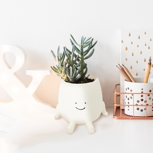 Sittande Blomkruka Söt Ansikte Resin Växter Dekorativ Succulent Blomkruka med Dräneringshål för Trädgård Balkong Kontor Fönsterbräda