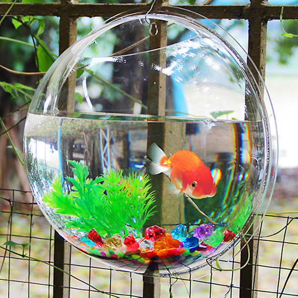 19,5 cm Glas Akvarium Væghængt Fiskeskål Vægbobbel Fiskekum Fiskeplante Akvarium TilbehørM M