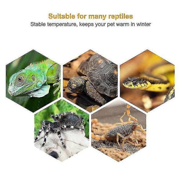 3 kpl Reptiililamppu