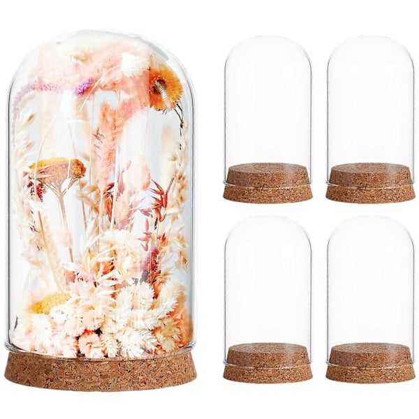 5 st Premium Glasdisplay Skydd Förvaringsburk Behållare för Evighetsblomma
