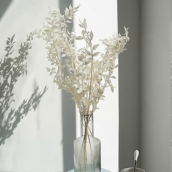 45 cm Tørrede Evighedsbevarede Ruscus Blomster DIY Blomsterdekoration Tørret Blomsterbuket Til Bryllup Ho