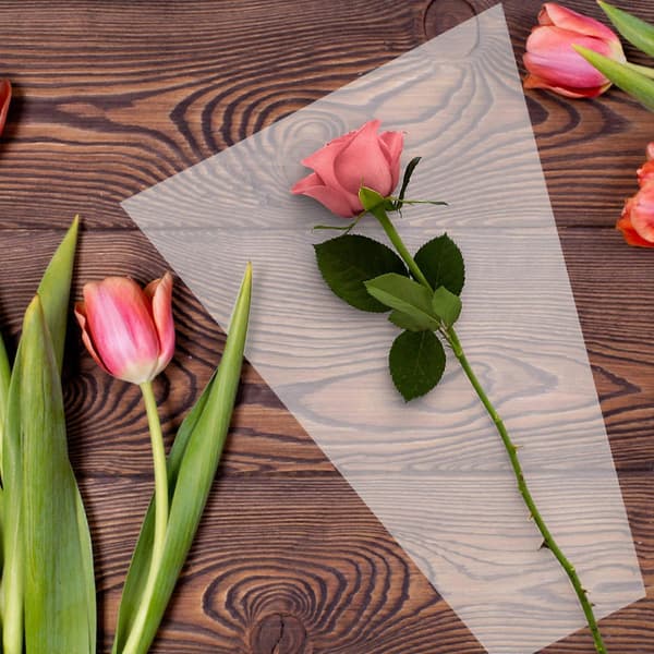 20 stk. Cellofanposer Blomsterpapir Blomsterposer Blomsterhandlerutstyr
