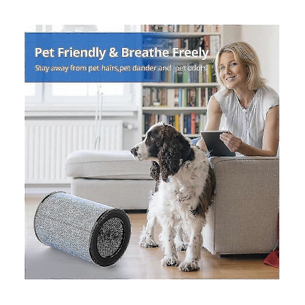 2-pak Ap300 Udskiftningsfilter Kompatibelt Med Instant Ap300 Luftrenser, 3 Filter Af H13 Grade True Hepa Filter
