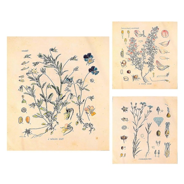 3 st Blomsterväv Gobeläng Väggbonad Vildblomma Växt Floral Gobeläng Diagram Liten Gobeläng För Sovrum