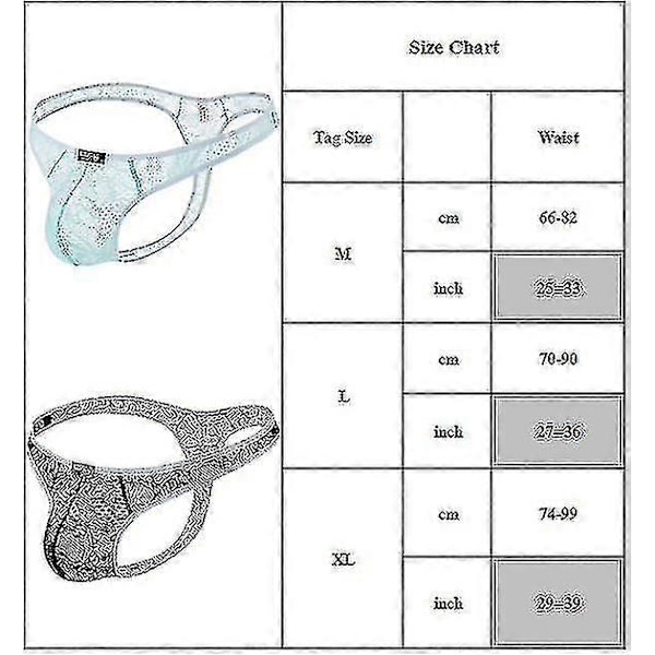 Herr Spets Enfärgad G-string Trosor Kalsonger Låg Midja Underkläder Nattkläder Skin XL