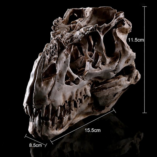 Individuell Unik Resin Dinosaurieskalle Modell för Inomhusbruk