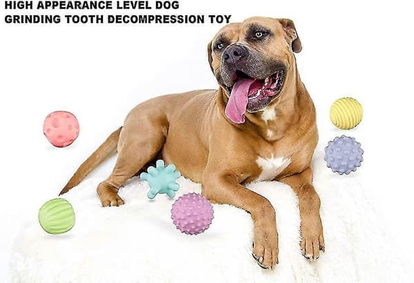 Legetøjsbolde til hunde, der tygger, 6 pakker holdbare tyggelegetøjsbolde, hoppende og flydende godt