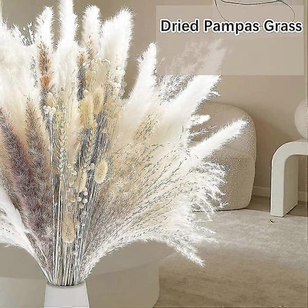 Tørret Pampasgræs, Pampas Pampas, Rørgræs Rør, Tørret Buket