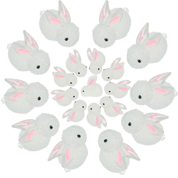 20 kpl Mini Hartsi Kani Korut DIY Scrapbooking Korujen Valmistus Litteäpohjaiset Korut