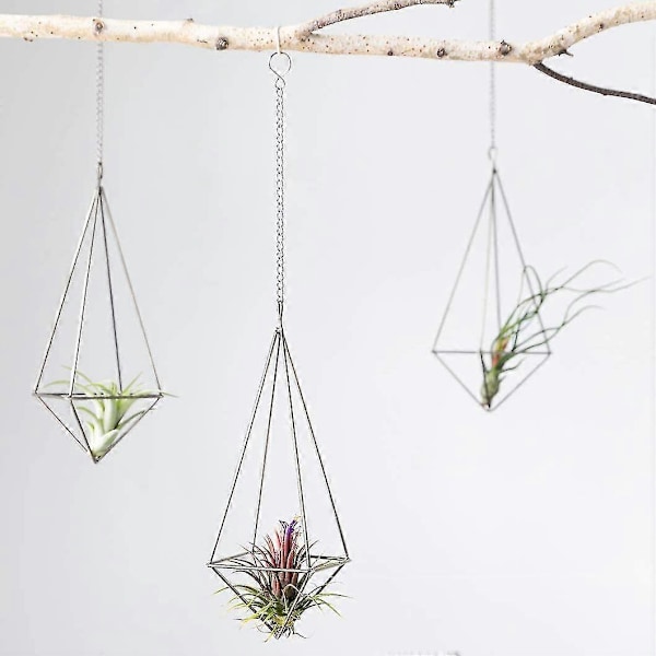 Riippuva kasviteline - 4 kpl, 2 kokoa Metallinen kasviteline Tillandsia-ripustin Himmeli-istutusastia Wit