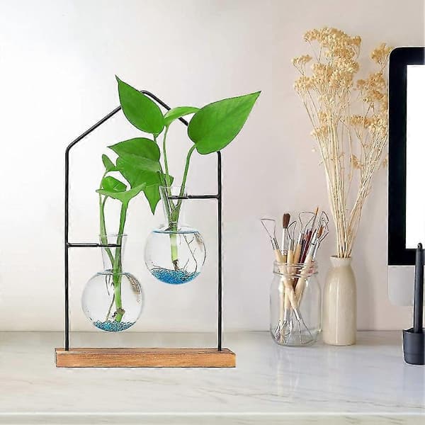 Bordsställ för växtförökning, hydroponisk växtblomdekorationsvas, transparent glas för vardagsrum