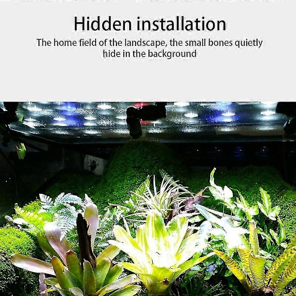 Mius Reptil Tåke Sprinkler Regnkompatibel Tank 360 Justerbar Akvarium Vannlevende Kjæledyr Kjølesystem