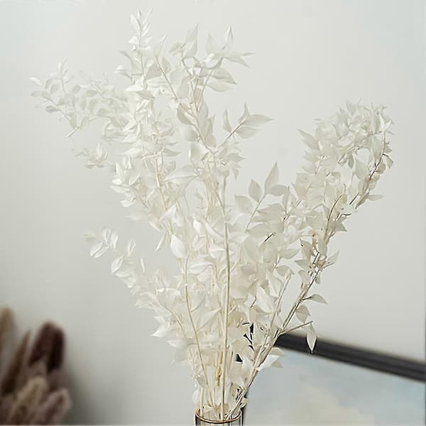 45 cm Tørrede Evighedsbevarede Ruscus Blomster DIY Blomsterdekoration Tørret Blomsterbuket Til Bryllup Ho
