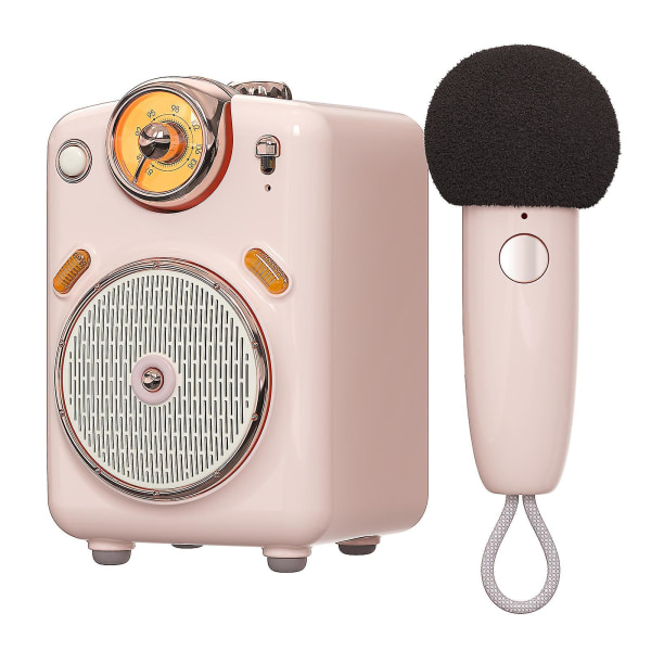 Divoom Fairy-ok Bärbar Bluetooth -högtalare med mikrofon Karao Pink
