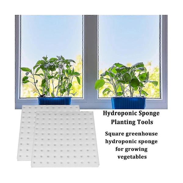 588 stk. Hydroponisk Svamp P Værktøj Ling Svampe Hydroponisk Svamp Hydroponisk Grøntsag Til