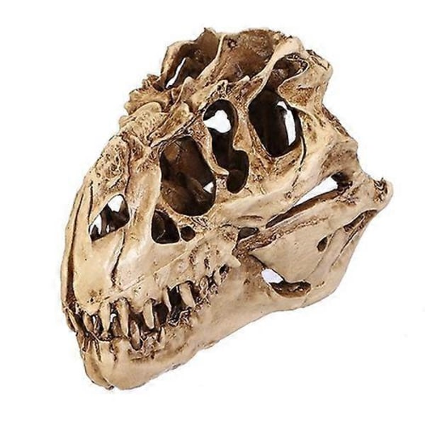 Individuell Unik Resin Dinosaurieskalle Modell för Inomhusbruk