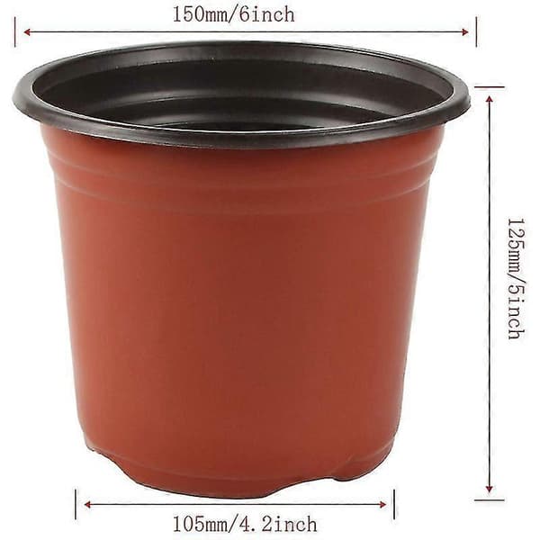 130-pack 6-tums Plantkrukor för Suckulenter, Plantor, Sticklingar, Omplantering