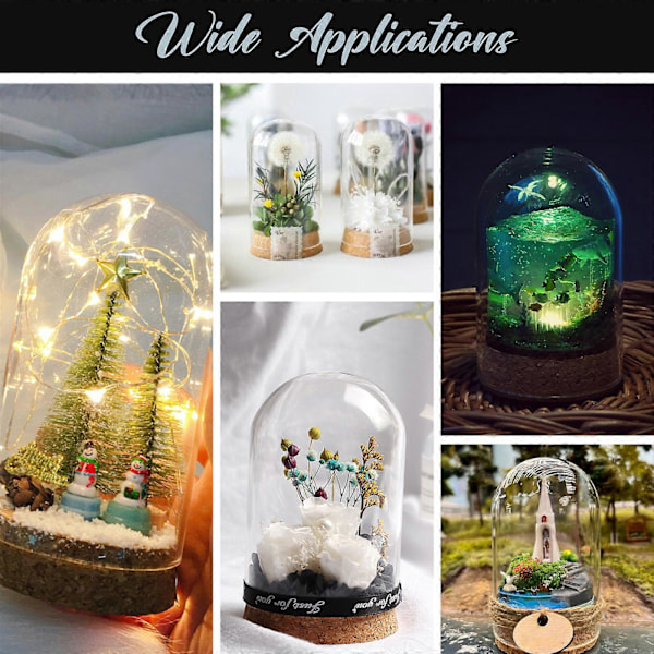 5 st Premium Glasdisplay Skydd Förvaringsburk Behållare för Evighetsblomma