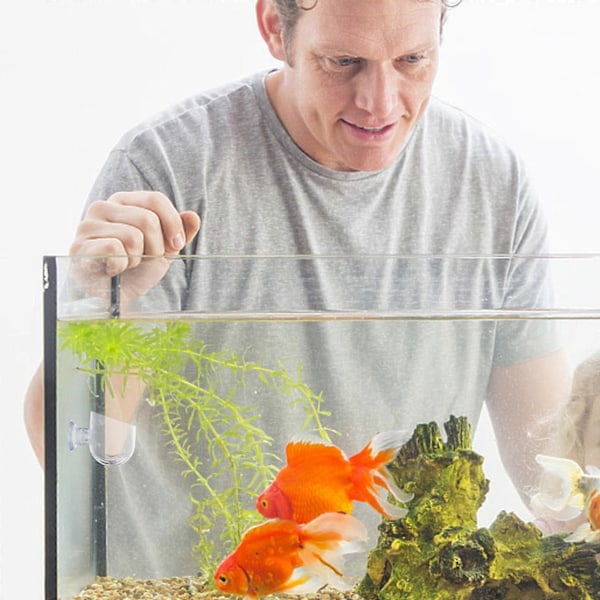 4 st Akvarieväxthållare Röd Maskmatare Kopp Akvarieväxt Koppkruka med Sugkoppar