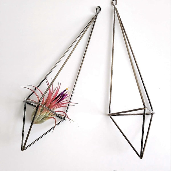 Hängande Växtkorg - 4-pack, 2 Storlekar Metall Växtställ Tillandsia Hängare Display Himmeli Planter Vit