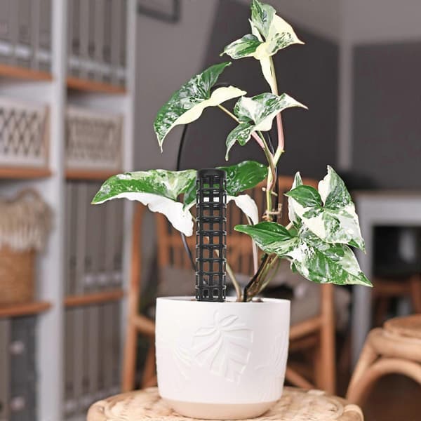 2 st Mossestavar för Klätterväxter Monstera Växtstöd Plast Mossestav