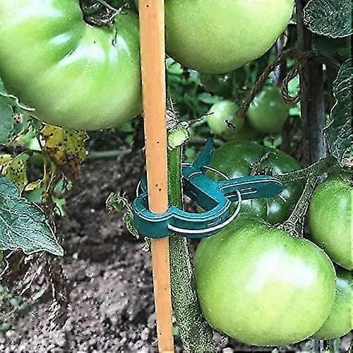Tomatträdgård, 40 st Växtklämmor Klätterväxter Återanvändbart Klätterväxtstöd