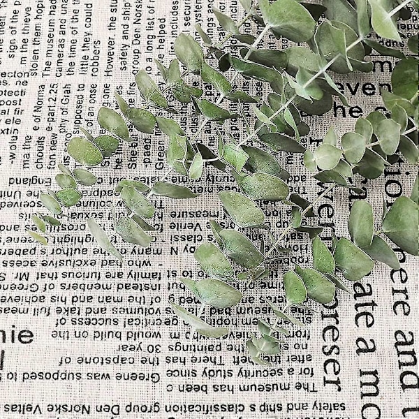 12 st Torkade Eukalyptusgrenar Grönska Stjälkar, 43 cm 100% Äkta Naturliga Levande Eukalyptusblad Växt Grönska Dekor