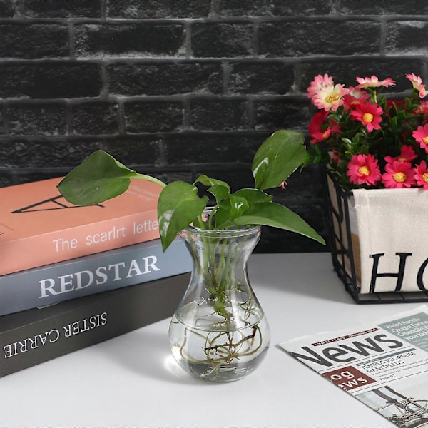 4 st Hyacintvas Liten Glasvas Mittpunkter Klar Hyacint Odling Knoppvas