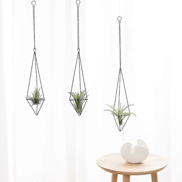 Riippuva kasviteline - 4 kpl, 2 kokoa Metallinen kasviteline Tillandsia-ripustin Himmeli-istutusastia Wit