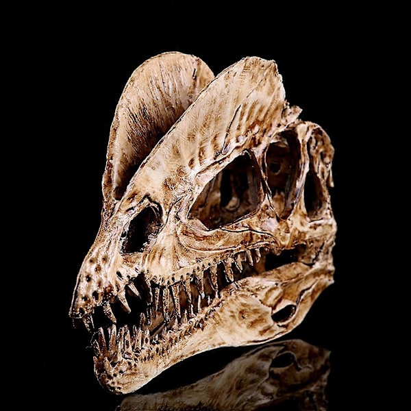 1 kpl Hieno Dilophosaurus Kallo Koriste Hartsi Dinosaurus Kallo Malli Käsityöt Sisustus Elävä Dinosaurus Kallo Koriste Luova Dinosaurus Kallo Malli Sisustus