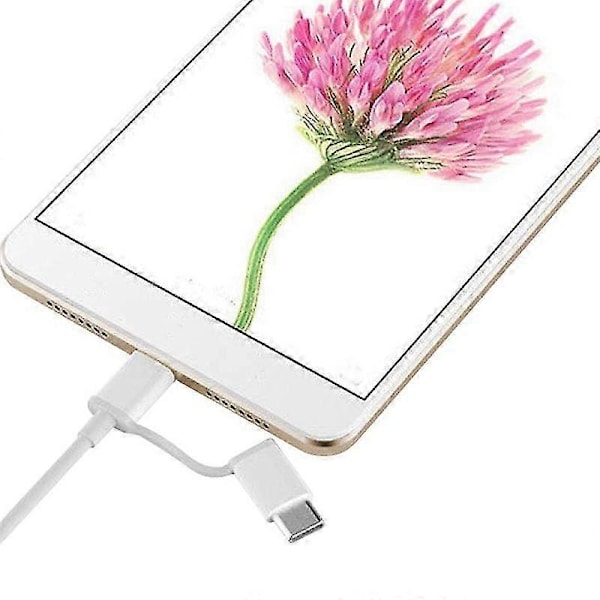 2-in-1 USB-kaapeli (mini-USB - Type C) 100cm, soveltuu kaikkiin Type-C- ja mini-tuotteisiin
