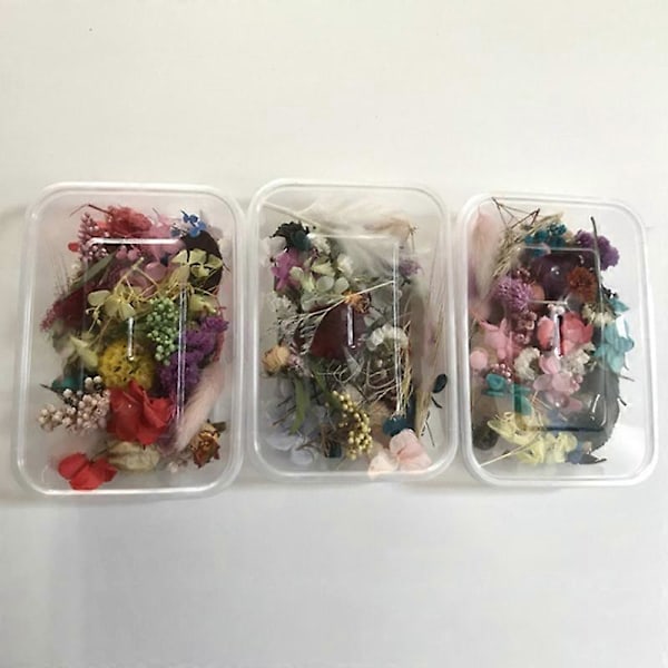 1 Æske Tørrede Blomster Letvægts Tilfældig Stil Tørrede Blomster Smukke Tørrede Blomster til Håndlavede Lys