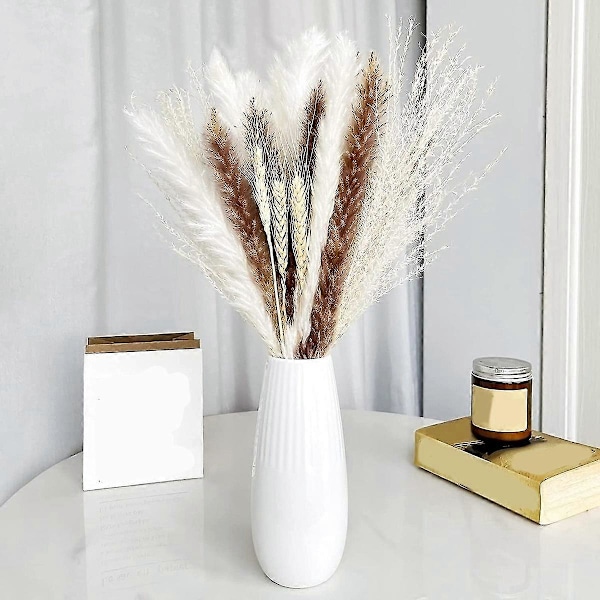 Pampasgräs Boho R, Fluffigt Torkat Pampasgräs, -la, , Fotogr