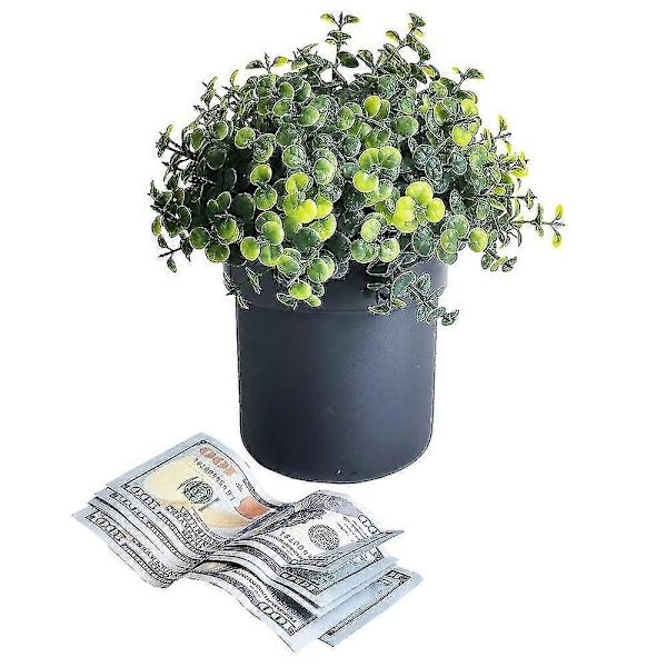 Stor Blomsterpotte Skjult Pengeskab Låseboks Overraskelse Hemmeligt Gemmested Plante Gemmested Gem Penge, Nøgler, Smykke Organizer Andre Værdigenstande (Ruipei)