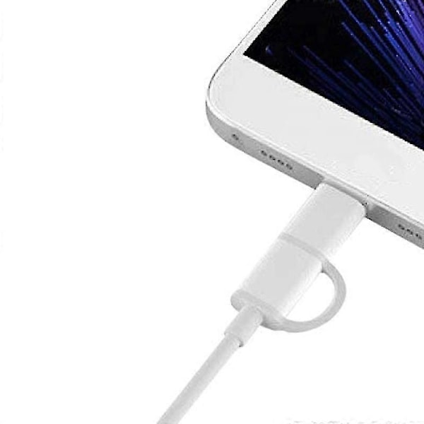 2-in-1 USB-kaapeli (mini-USB - Type C) 100cm, soveltuu kaikkiin Type-C- ja mini-tuotteisiin