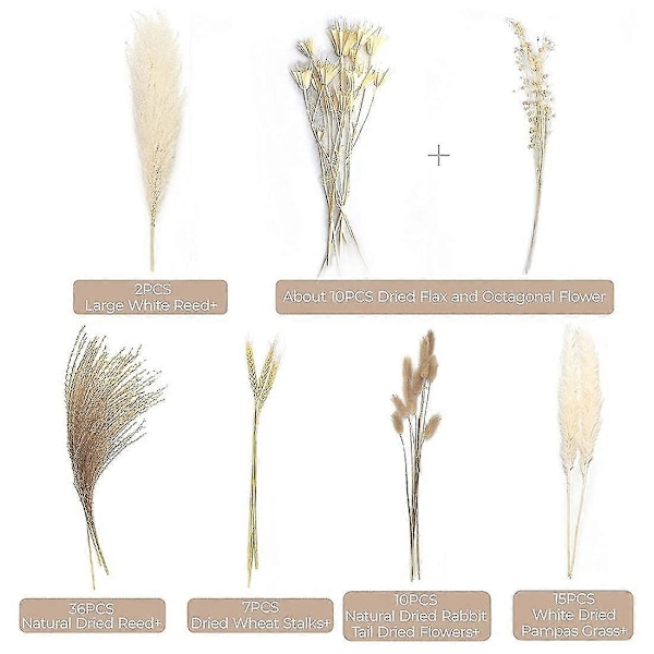 80 stk. Pampasgræs, Naturlig Tørret Pampasgræs Dekoration, 43 cm Tørrede Planter Boho Dekoration Til Hjemmet Kontor
