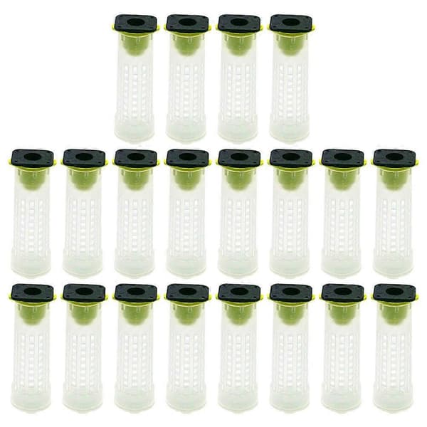 20 st Bee Transportbur Bee Breeding Cage Plast Biskötare Mesh Bee Protector Plast Bee Shield