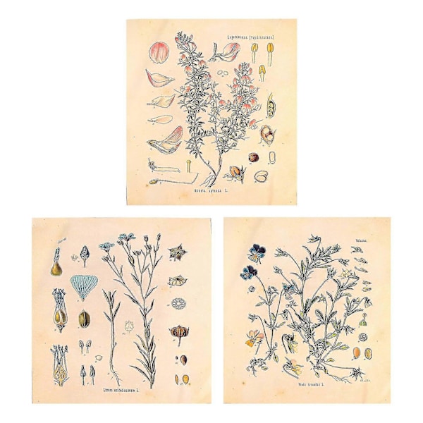 3 st Blomsterväv Gobeläng Väggbonad Vildblomma Växt Floral Gobeläng Diagram Liten Gobeläng För Sovrum