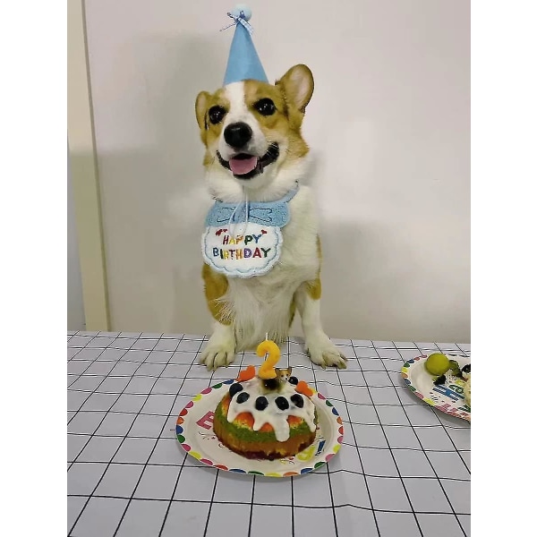 Husdjur Katt Hund Grattis på födelsedagen Haklapp och Partyhatt Mini Hund Katt Födelsedagsbandana Halsdukar Husdjur Födelsedagsoutfit Husdjurskostymer Blue
