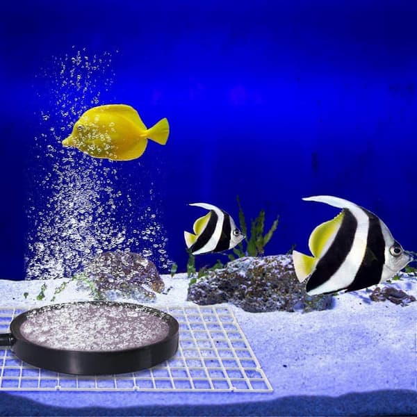 10 stk. Akvarium Divider Fisketank Divider Filter Gitre Separationsgitter Bakke Isolationsplade Gitter Med